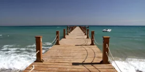 ليتل فينيس